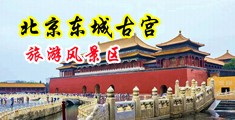 欧美日韩图片天天综合中国北京-东城古宫旅游风景区